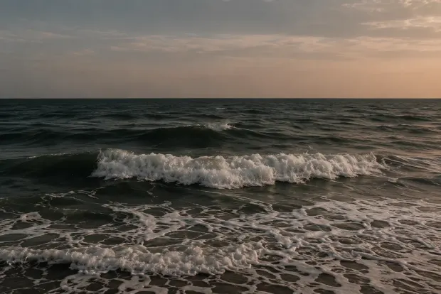 The Lowcountry coast at dusk.